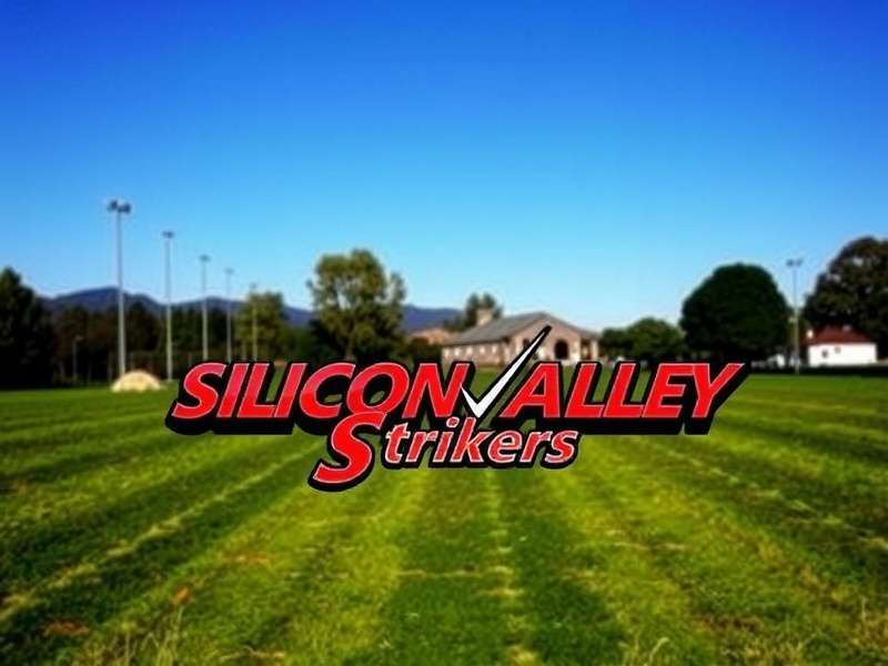 Silicon Valley Strikers Community
